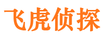 杏花岭市调查取证